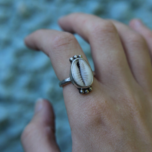 Cowrie Shell Dot Ring