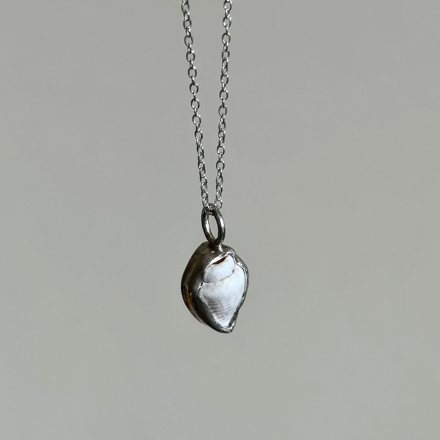 White Seashell Necklace