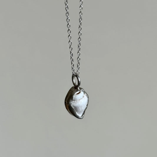 White Seashell Necklace