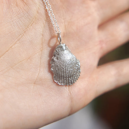 Silver Clam Shell Charm Necklace