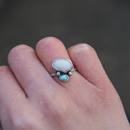 Ark Shell & Turquoise Ring