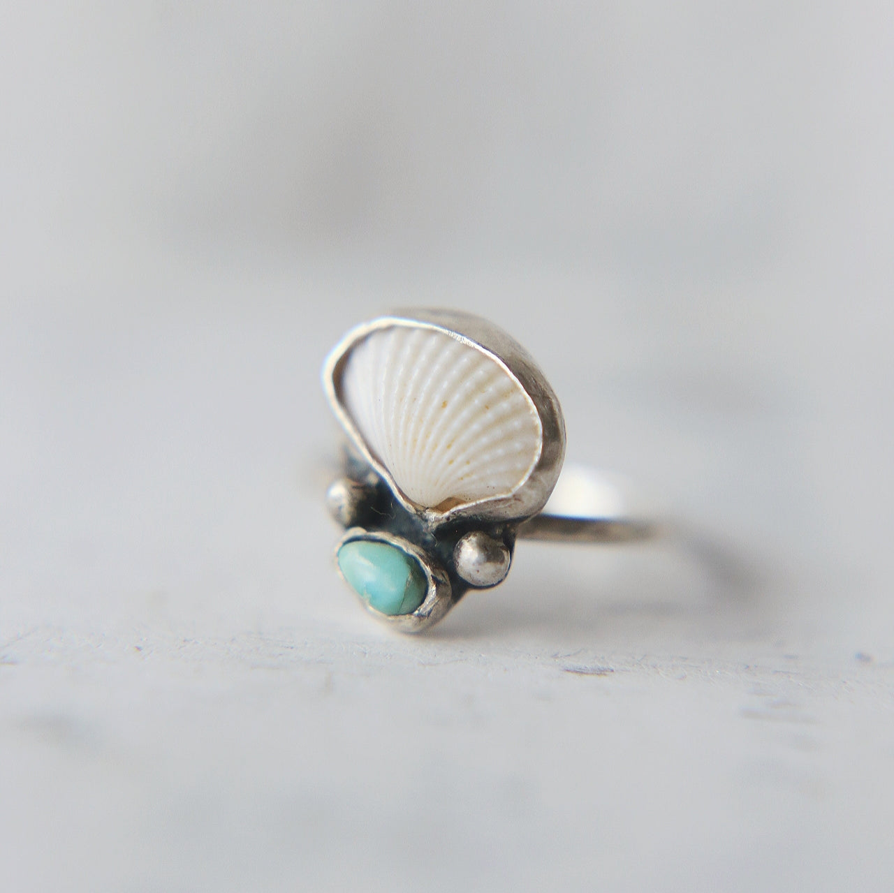 Ark Shell & Turquoise Ring